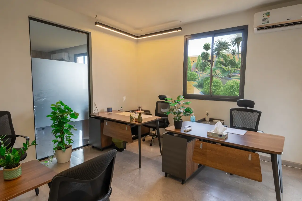 An office with a desk, chair, and plants. A professional workspace adorned with greenery for a refreshing touch